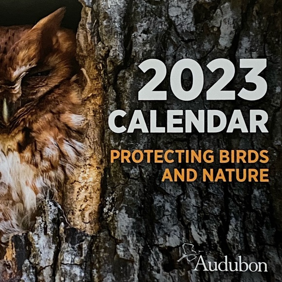 2023 Audubon Society Protecting Birds & Nature Photography 16 Month Calendar - Picture 2 of 8
